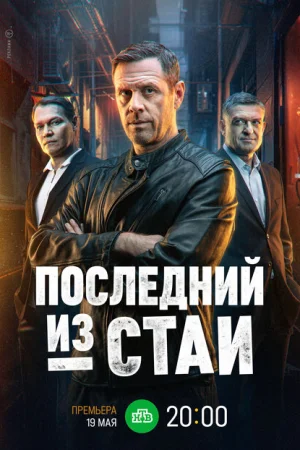 Последний из стаи 1 сезон
